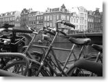IMG_0183.JPG