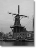 IMG_0325.JPG