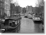 IMG_0379.JPG