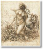 vinci_ana013.JPG