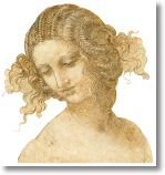 vinci_ana014.JPG