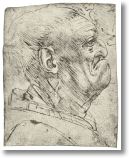 vinci_ana057.JPG