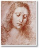 vinci_ana065.JPG