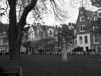 Img_4299.jpg