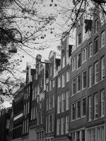 Img_4412.jpg