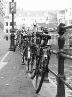 Img_4464.jpg