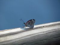 IMG_3143.JPG