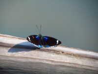 IMG_3149.JPG