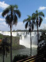 IMG_3365.JPG