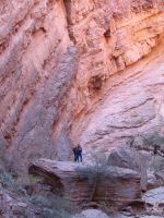 IMG_3720.JPG