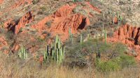 IMG_3787.JPG