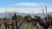 IMG_4449.JPG