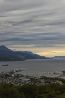 _MG_3655_DxO_resultat.jpg