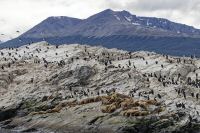 _MG_3985_DxO_resultat.jpg