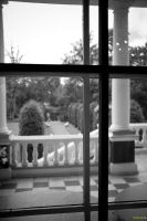 _MG_1505-1.jpg