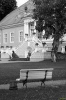 _MG_1547-1.jpg