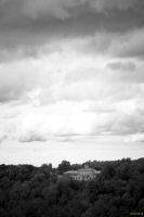 _MG_1590-1.jpg