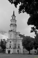 _MG_1981-1.jpg