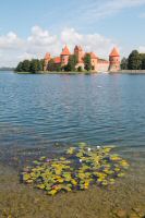 _MG_2009-1.jpg