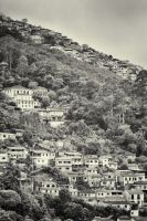 _MG_5018-2.jpg