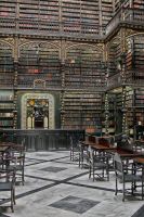 _MG_5589-3.jpg