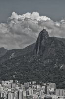 _MG_5909-3.jpg