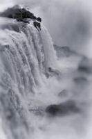 _MG_6379-4.jpg