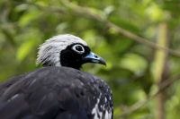 _MG_6410-1.jpg