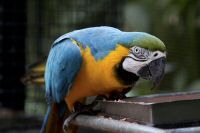 _MG_6474-1.jpg
