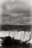 _MG_6813-2.jpg