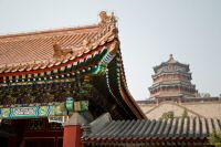 _MG_4114-1.jpg