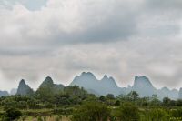 _MG_4920-1.jpg