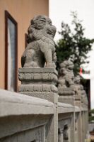 _MG_4992-1.jpg