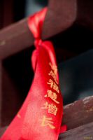 _MG_5028-1.jpg
