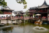 _MG_5085-1.jpg