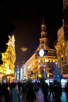 _MG_5304-1.jpg