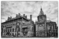 _MG_7775-2.jpg