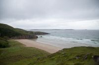 _MG_8490-1.jpg