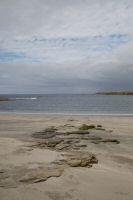 _MG_8569-1.jpg