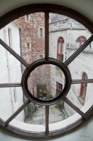 _MG_8728-1.jpg