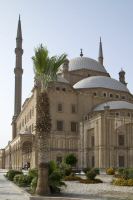 IMG_1049-1.jpg