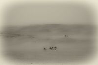 IMG_1352-2.jpg