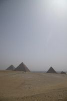 IMG_1417-1.jpg