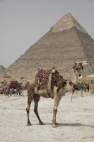 IMG_1476-1.jpg