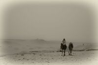 IMG_1533-2.jpg