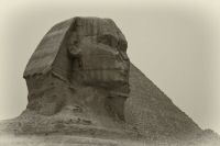 IMG_1566-2.jpg