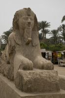 IMG_1592-1.jpg