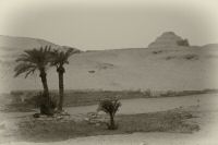 IMG_1612-2.jpg