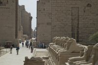 IMG_1661-1.jpg
