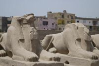 IMG_1669-1.jpg